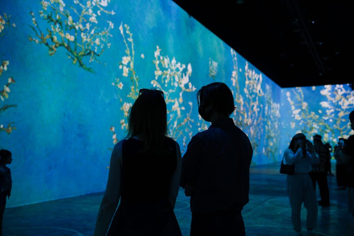 Art-goers in Chicago look at projections of "Blossoming Almond Tree." 