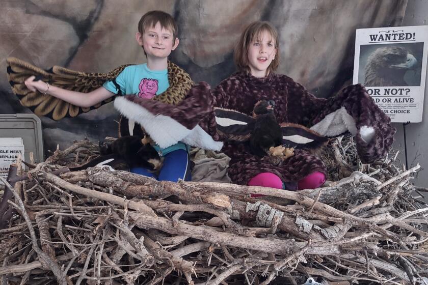 Ramona kids Corvin Thomas, 11, and Brie Foster, 10, pretend to be eagles in a replica nest at the Ramona Earth Day Festival.