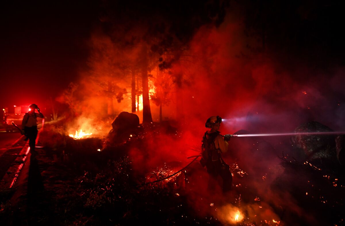 Firefighters battle flames in a dark forest