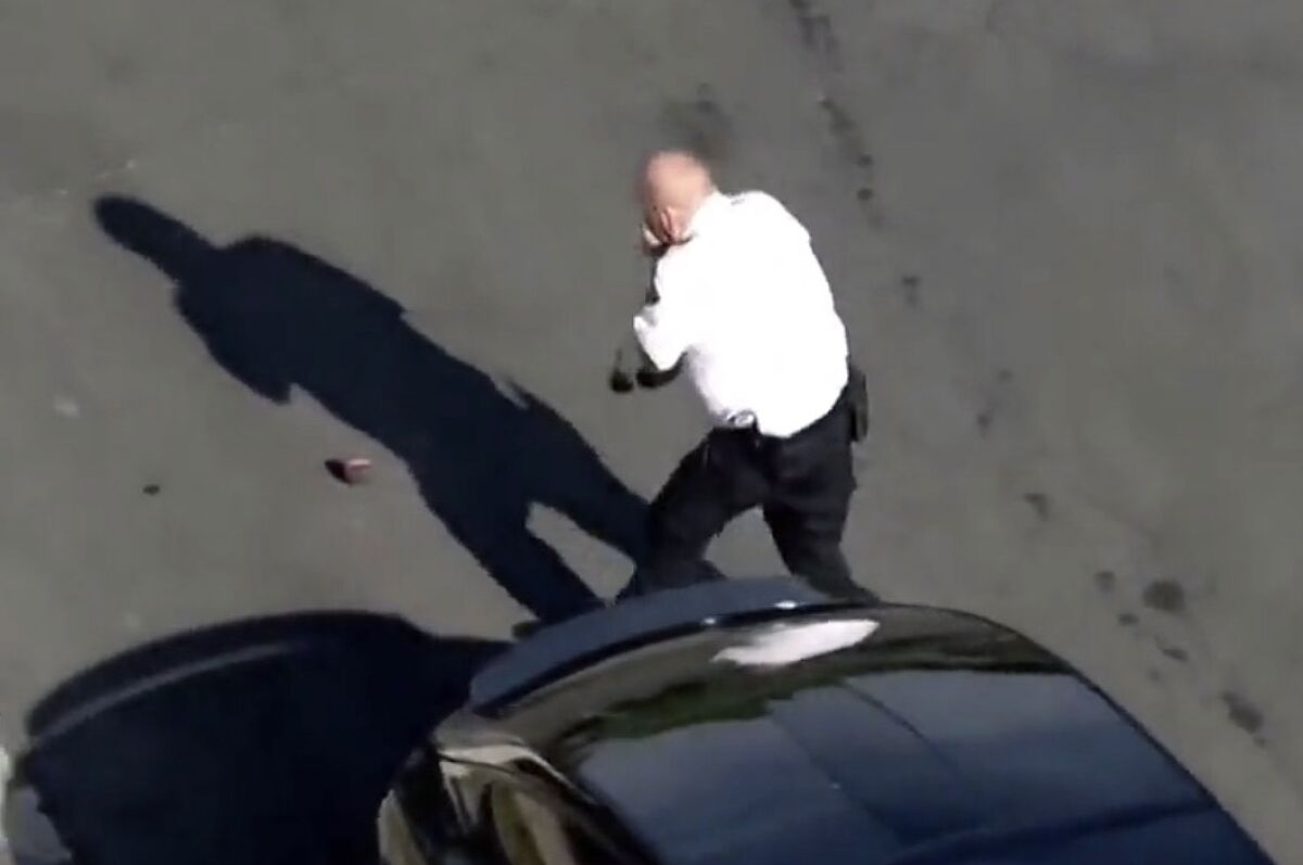 A volunteer LAPD officer tries to swat away bees after being attacked by the swarm.