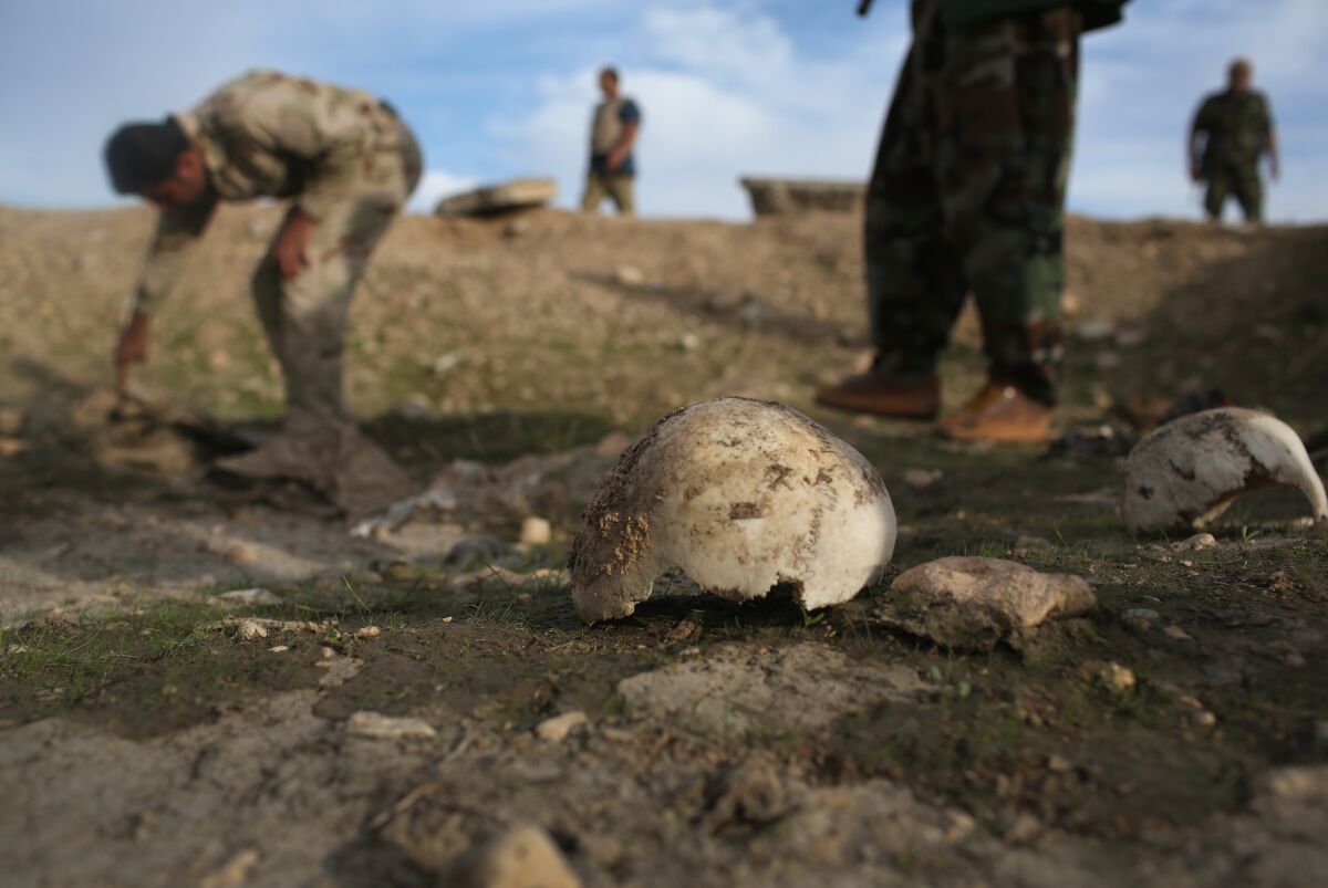 Kurdish militiamen on Sunday show what they say is a mass grave of about 50 Yazidis killed by Islamic State fighters near Sinjar, Iraq.