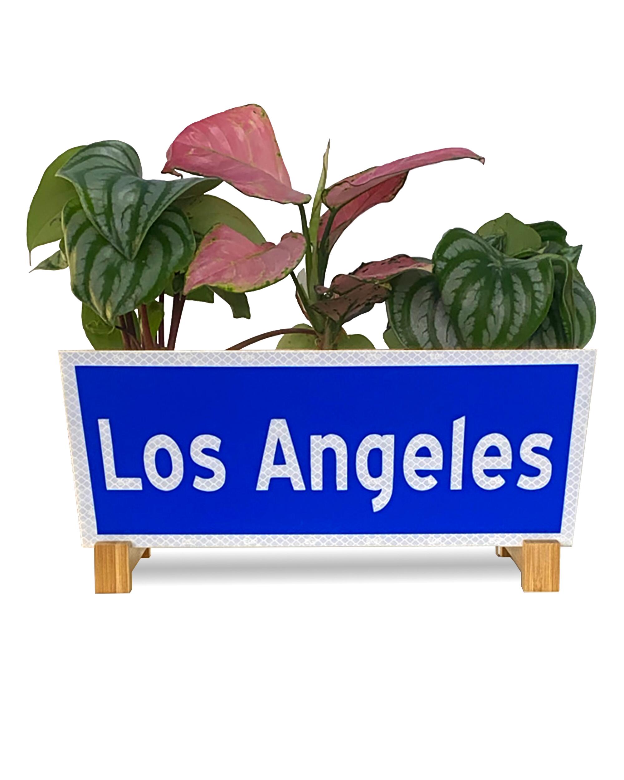 Louis LIV Los Angeles Street Planter