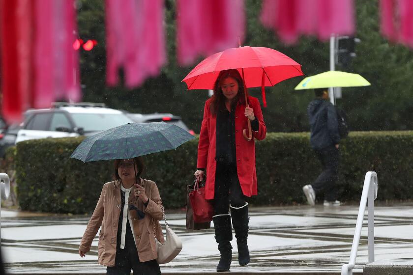 Guests arrive under umbrellas to the Lunar New Year celebration at Irvine Barclay Theater as rain begins to fall on Wednesday, Feb 5th in Irvine.