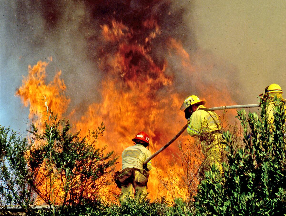 Orange County firefighters get in front of advancing flames near Hidden Hills during the Laguna Beach Wildfires of 1993.