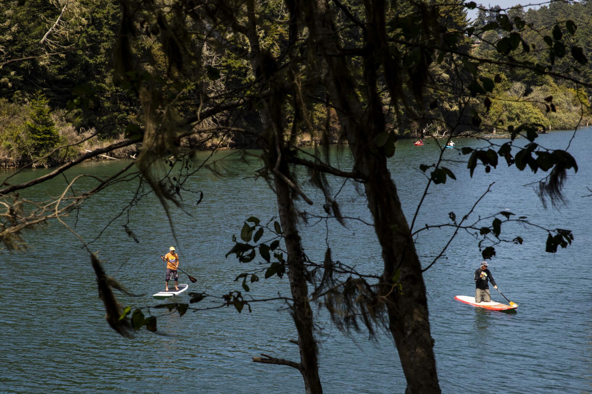 Paddle boarders on the Noyo River in Fort Bragg, Calif. The drought comes as a surprise to many visitors.