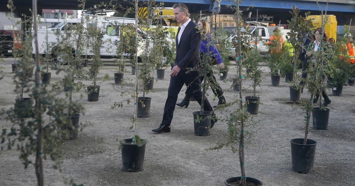 Newsom’s plan to harness California land to fight climate change Newsom’s plan to harness California land to fight climate change