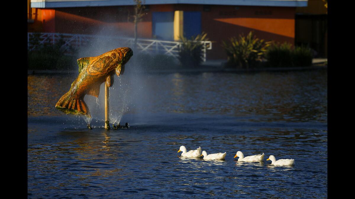 Jose Rude Calderon's "Leaping Fish, Nature's Cycles," has a line of visitors on Belvedere Park Lake.