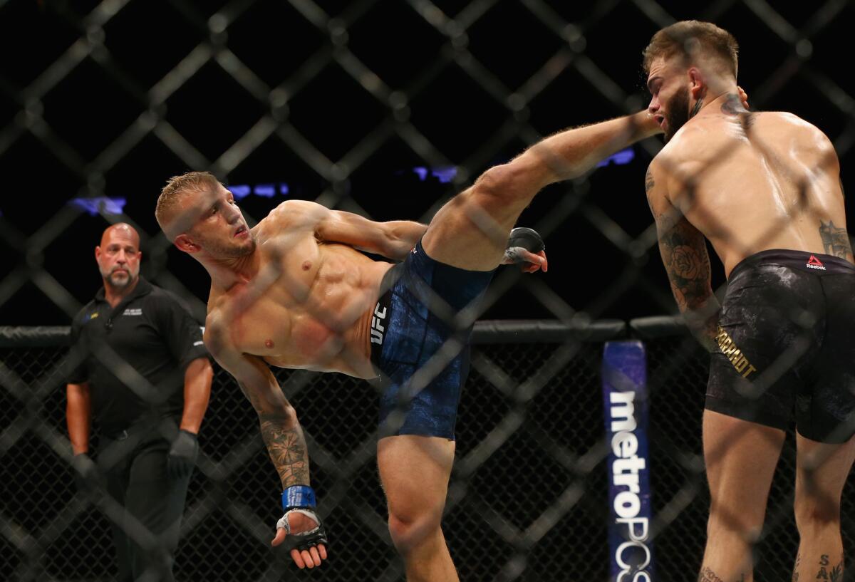 T.J. Dillashad lands a kick against Cody Garbrandt during their bantamweight championship bout at UFC 217.