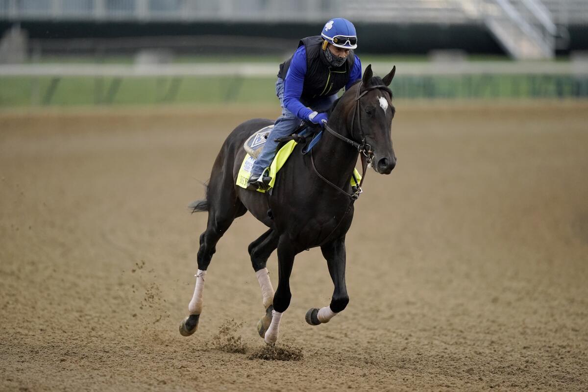 Rock Your World works out at Churchill Downs on Wednesday.