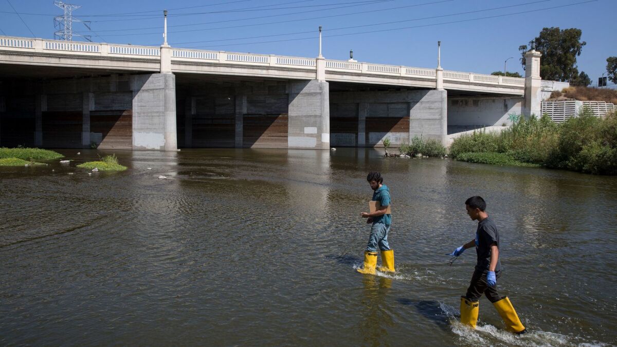L.A. Trade Tech students John Silva, left, and Christopher Zamora wade into the L.A. River for water quality testing.