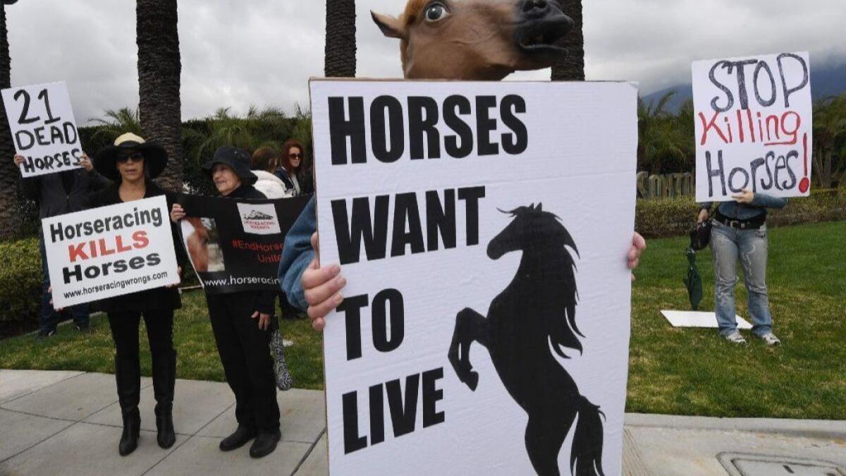 Animal rights advocates protest the deaths of race horses at Santa Anita Park in Arcadia on March 3.