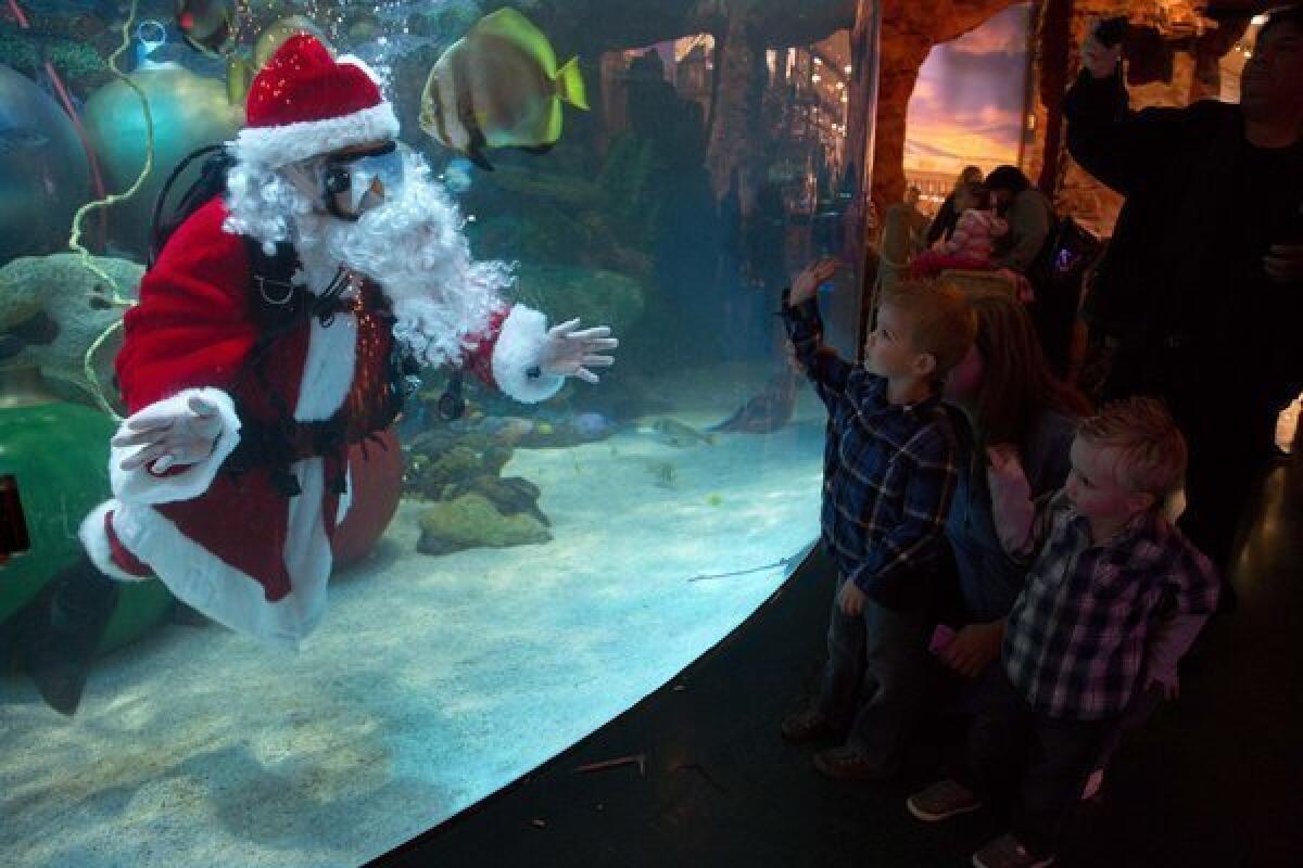 Jerry Cowley, aquatic safety manager at the Silverton Hotel-Casino in Las Vegas, interacts with children while playing an underwater Santa Claus.