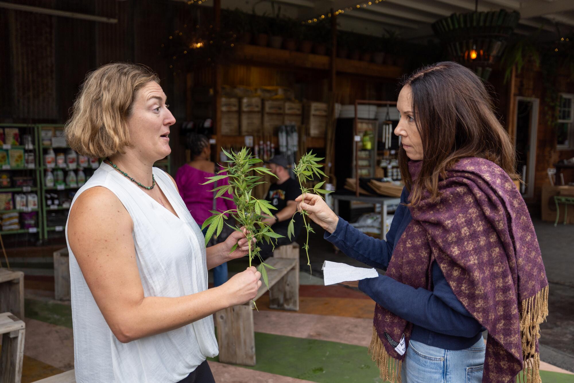 Dos mujeres sosteniendo ramas de plantas de cannabis y hablando.