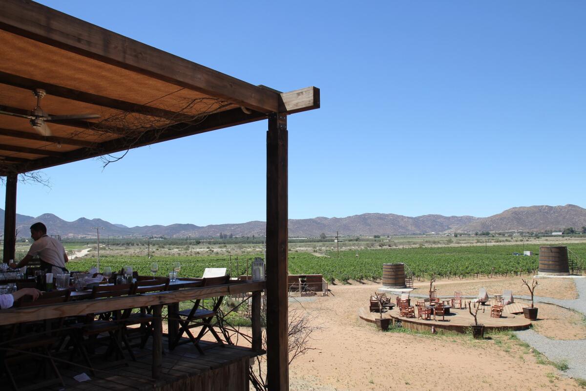 Shown is a view of Baja California's Valle de Guadalupe from the terrace of Finca Altozano, the rustic country eatery helmed by noted chef Javier Plascencia.