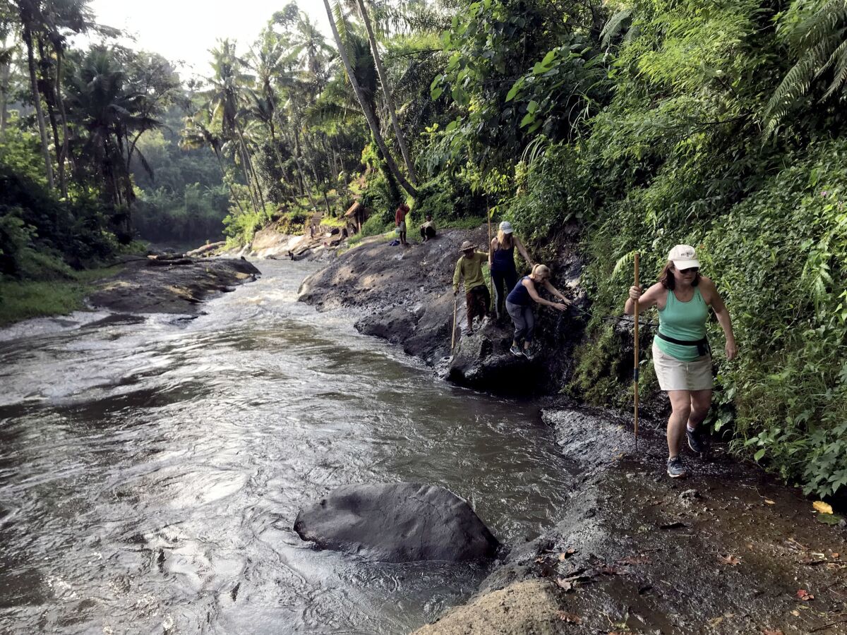 A Bali trash walk is not for the faint of heart. Kathleen Morrison, with a pointed stick for picking trash, makes her way along the Ayung River. Behind her, Claire Traub grasps a guide wire to maneuver past a gap on the bank.