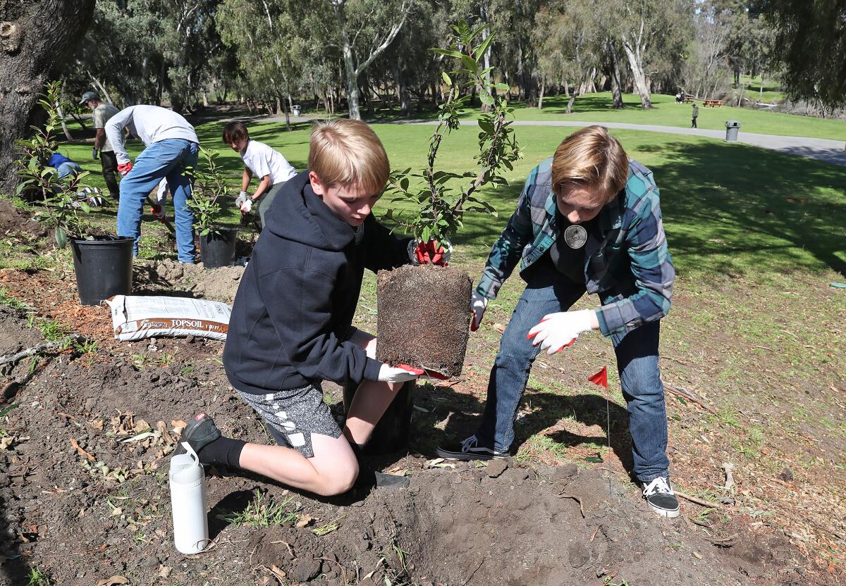 Mesa View Middle School eighth graders Jay Neser and Nathan Boyce plant a tree.