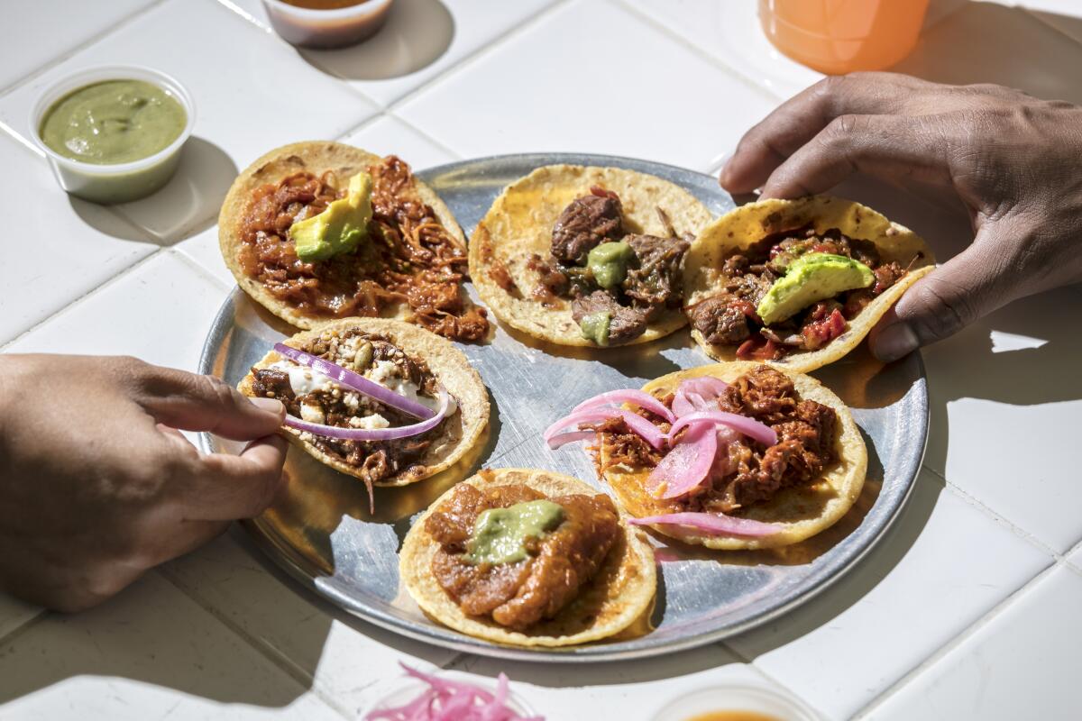 Guisados taco sampler