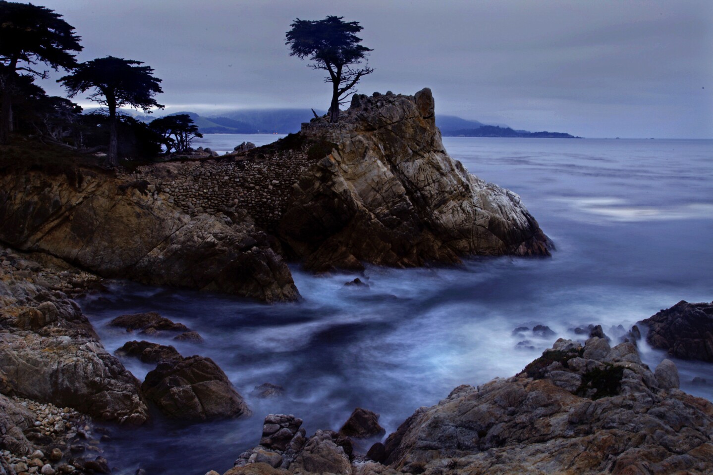 The Lone Cypress stands along famously scenic 17-Mile Drive, raked by wind, swaddled in fog, clinging to its wave-lashed granite pedestal like God's advertisement for rugged individualism.