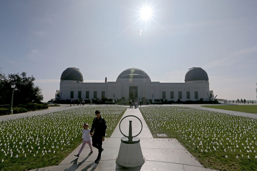 LOS ANGELES, CALIF. - NOV. 16, 2021. A flag memorial to victims of COVID-19 covers the lawn of the Griffith Observatory in Los Angeles on Tuesday, Nov. 16, 2021. About 27,000 people have died from the coronavirus in L.A. County. (Luis Sinco / Los Angeles Times)
