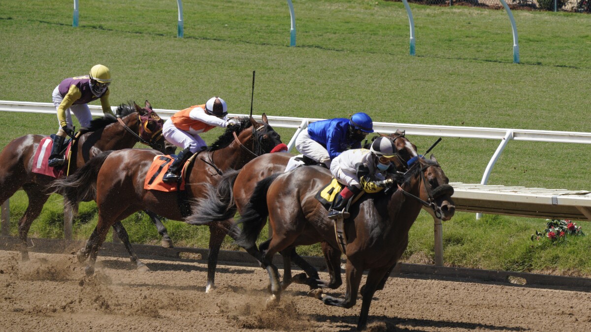 12++ Horse racing results mahoning valley today best tips 