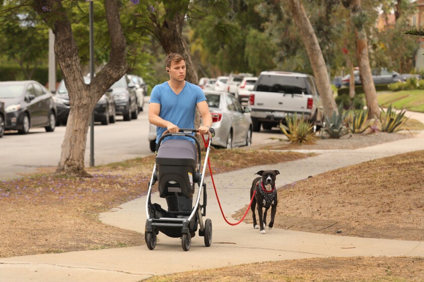 Un homme poussant une poussette et promenant un chien en laisse passe devant des pelouses devenues brunes 