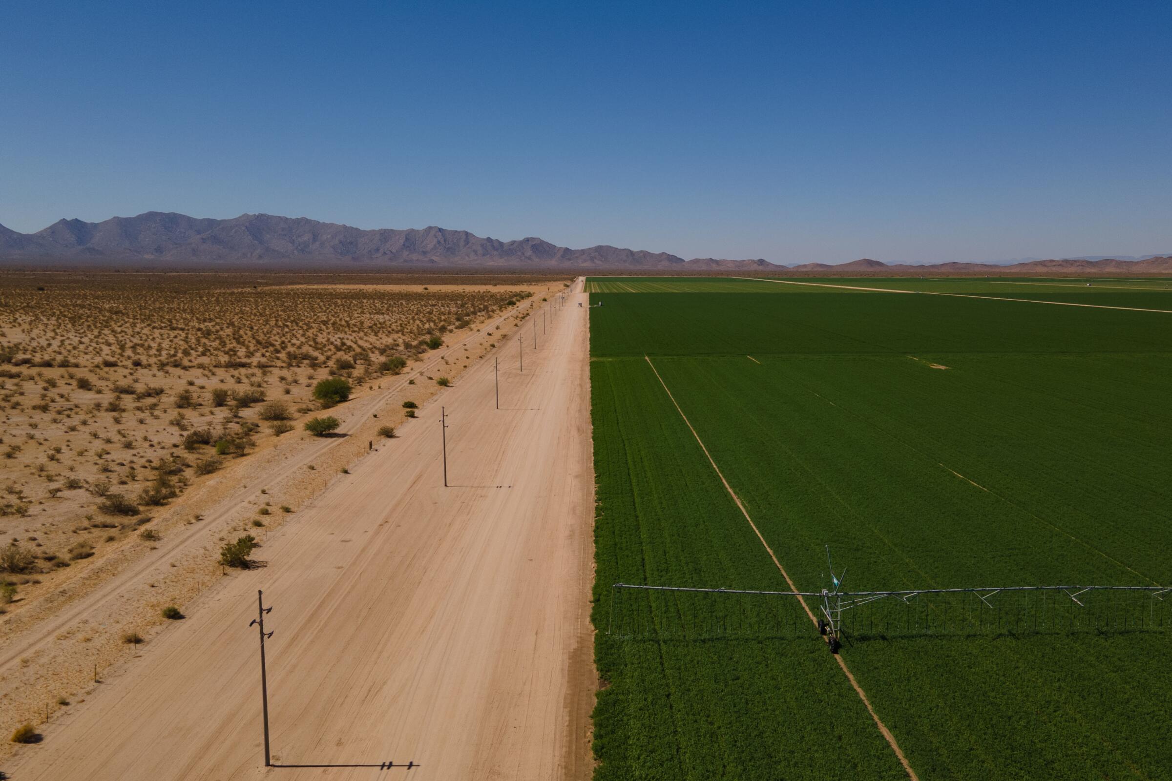 An irrigation system waters an alfalfa field at the Fondomonte farm in Butler Valley, Arizona. 