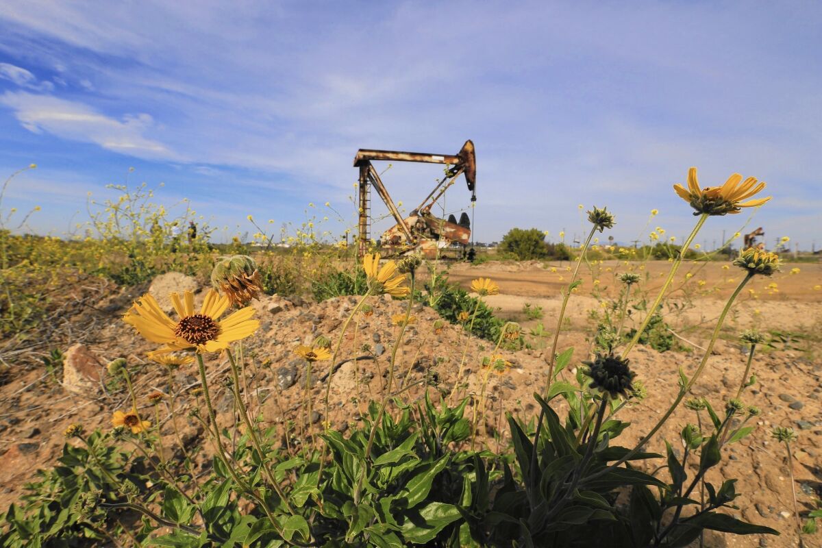 A pump jack operates in the Banning Ranch oil field, where a controversial housing and hotel development is proposed.
