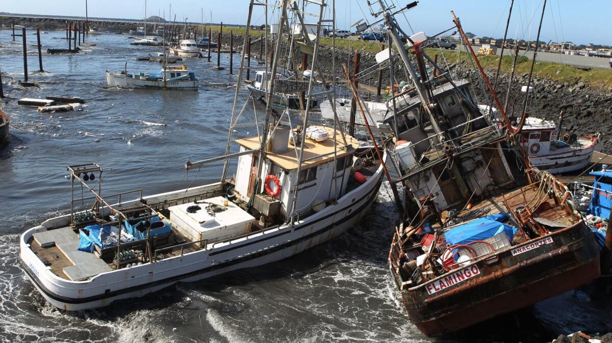 In this March 11, 2011 file photo, boats collide with one another after a tsunami swept through a boat basin in Crescent City, Calif. (Bryant Anderson / Associated Press)