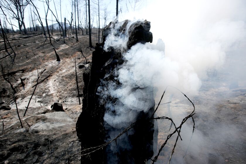 MARIPOSA, CALIF. - JULY 27, 2022. A tree stump smolders in a moonscape created by the Oak fire near Mariposa on Wednesday, July 27, 2022. (Luis Sinco / Los Angeles Times)