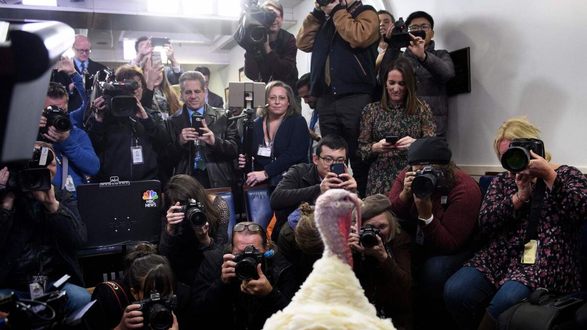 A turkey is shown to the press before being pardoned by President Trump.