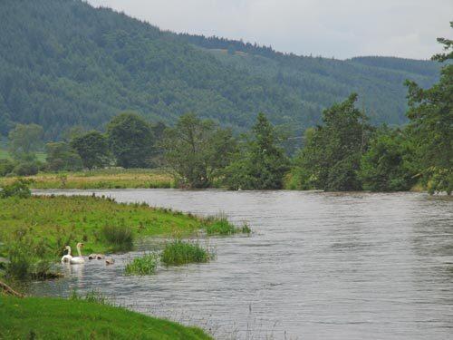 A walk in Scotland's Tweed River Valley