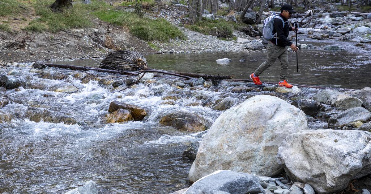 These hiking trails are closed because of the Southern California wildfires