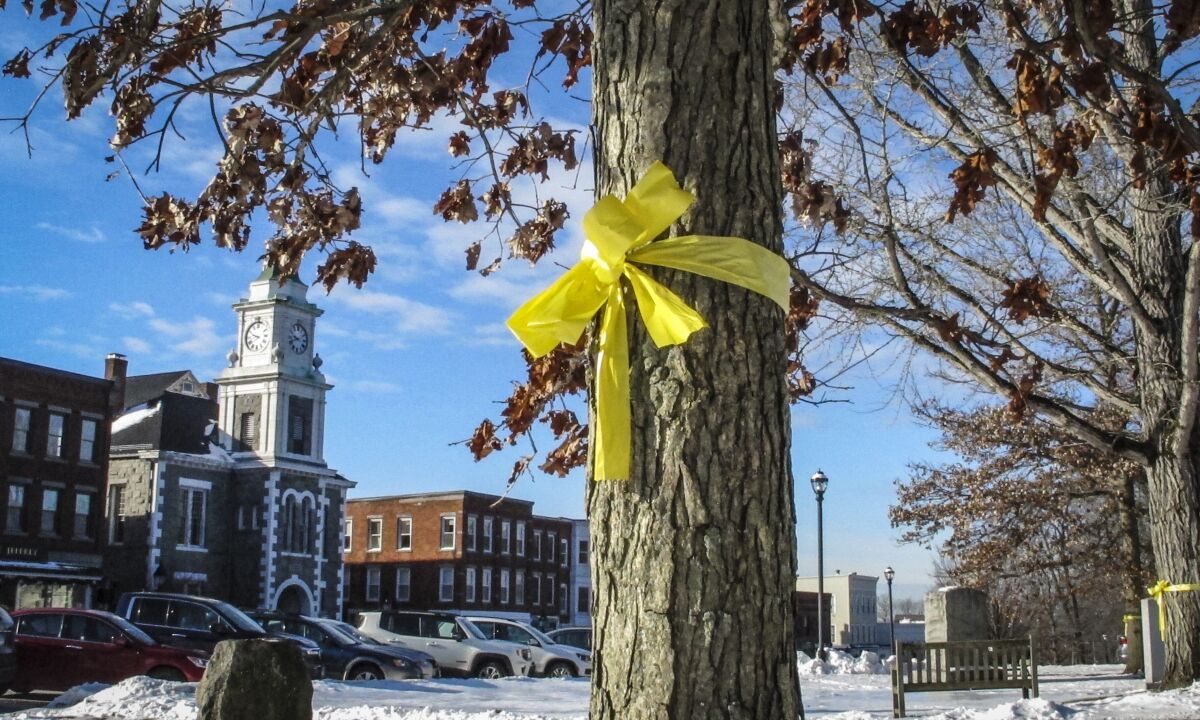 Yellow ribbons honoring U.S. military members are wrapped around trees on the Litchfield Town Green in Litchfield, Conn., shortly before being removed on Thursday, Jan. 13, 2022. Local officials' decision to take down ribbons, due to concerns other groups could put up their own displays, no matter how offensive, has angered some local residents. (AP Photo/Dave Collins)