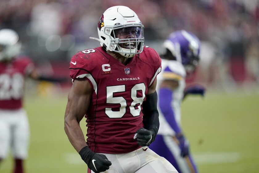 FILE - Arizona Cardinals middle linebacker Jordan Hicks (58) celebrates during the second half of an NFL football game against the Minnesota Vikings, Sunday, Sept. 19, 2021, in Glendale, Ariz. Hicks leads the Cardinals with 95 tackles and has added five sacks. (AP Photo/Ross D. Franklin, File)