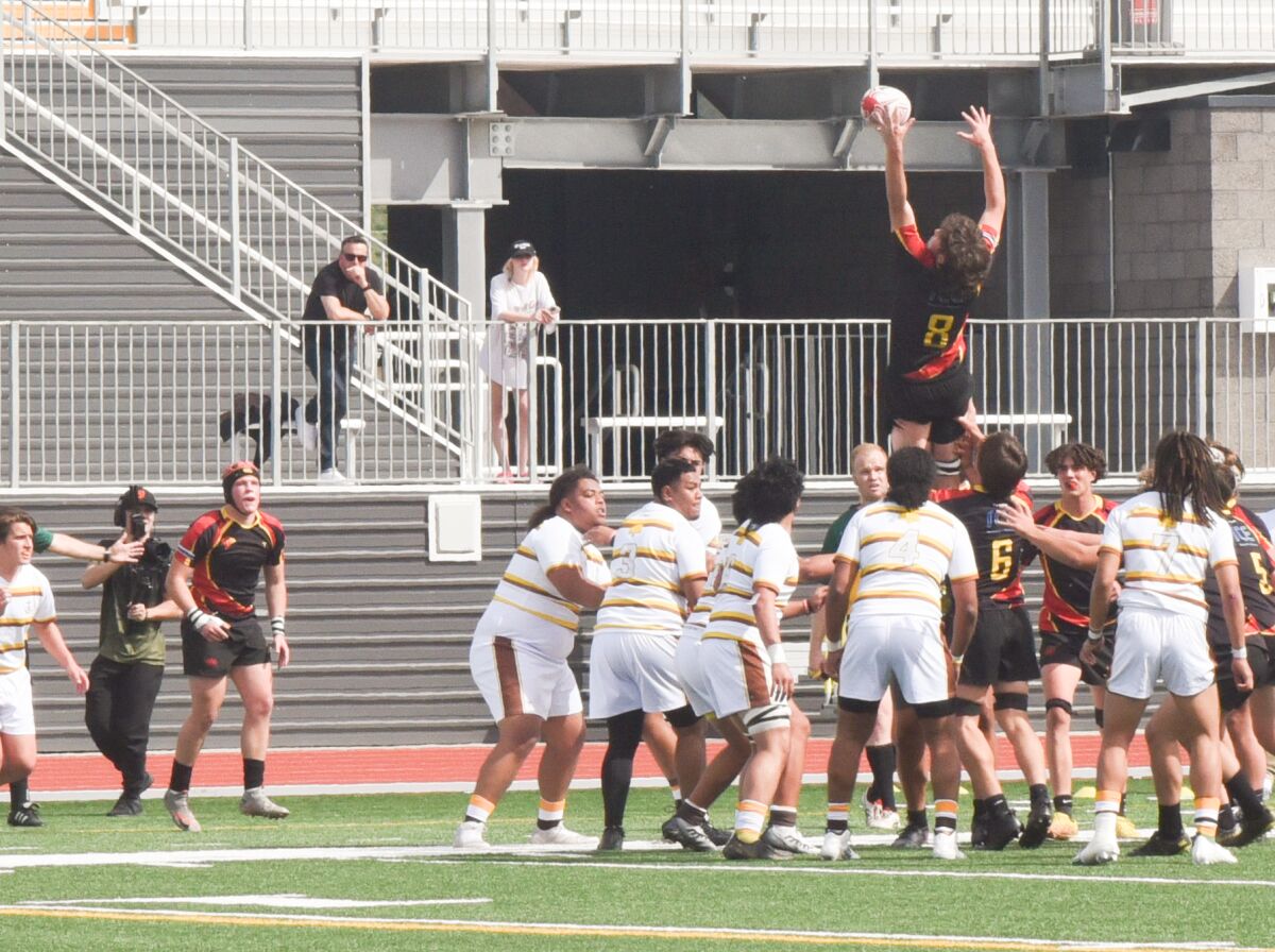 Jacob Jaffe soars high to secure the ball for Torrey Pines.