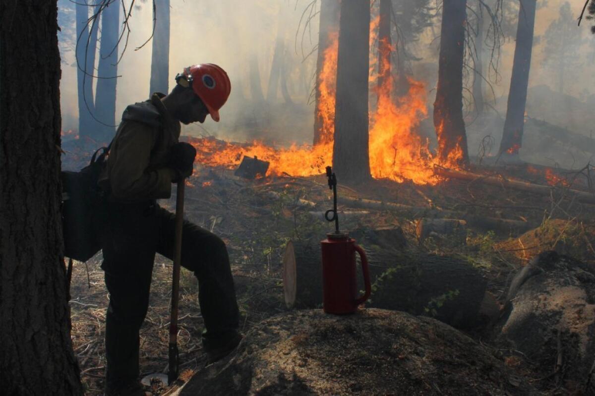 A hotshot firefighter in a controlled-burn area meant to contain the Rim fire.