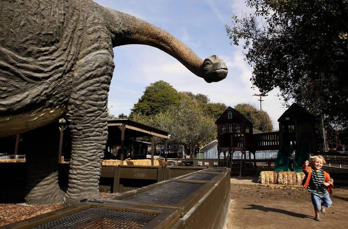 The dinosaur replica at Zoomars Petting Zoo in San Juan Capistrano stands 13 feet tall.