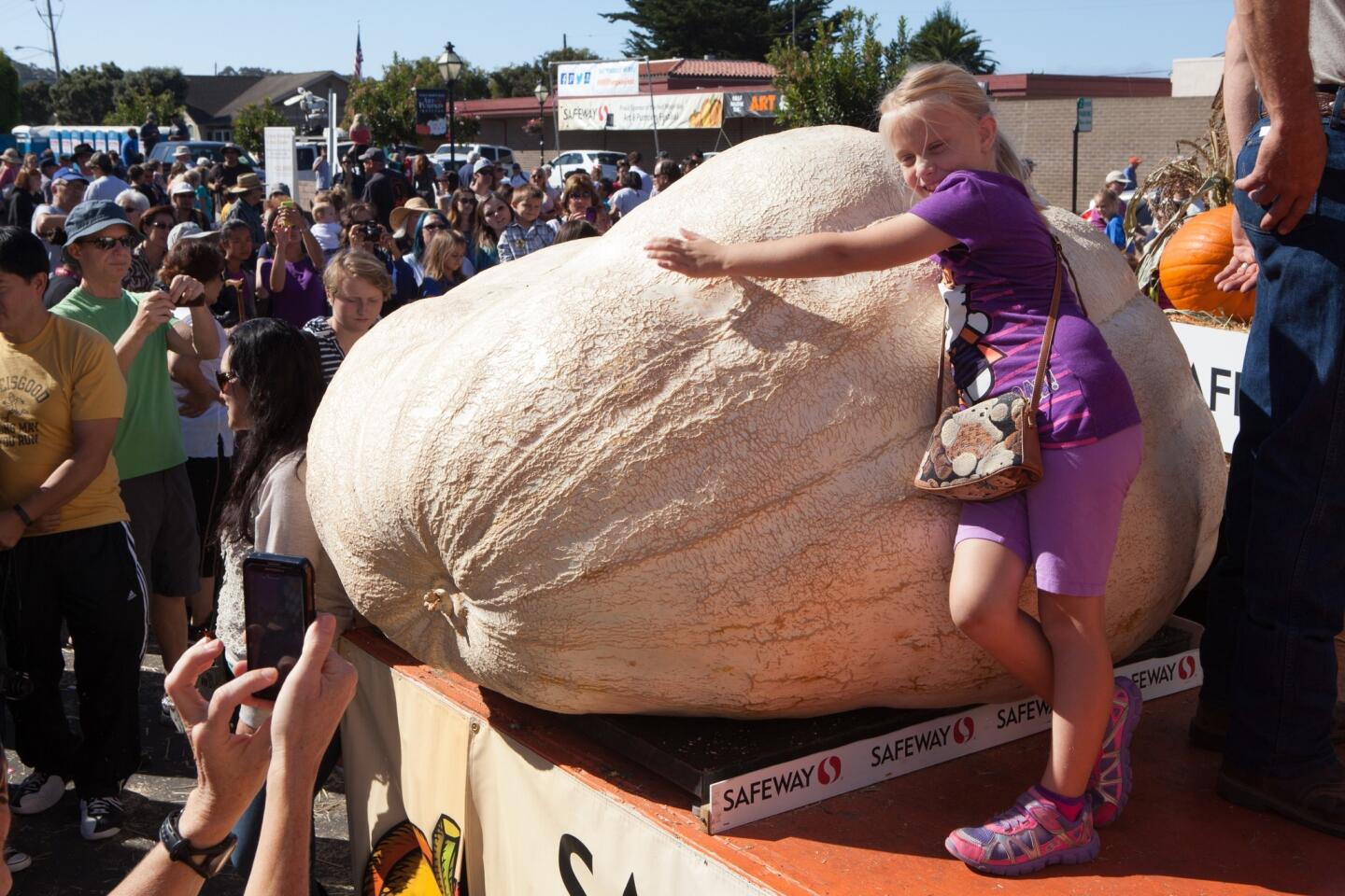 World's heaviest pumpkin