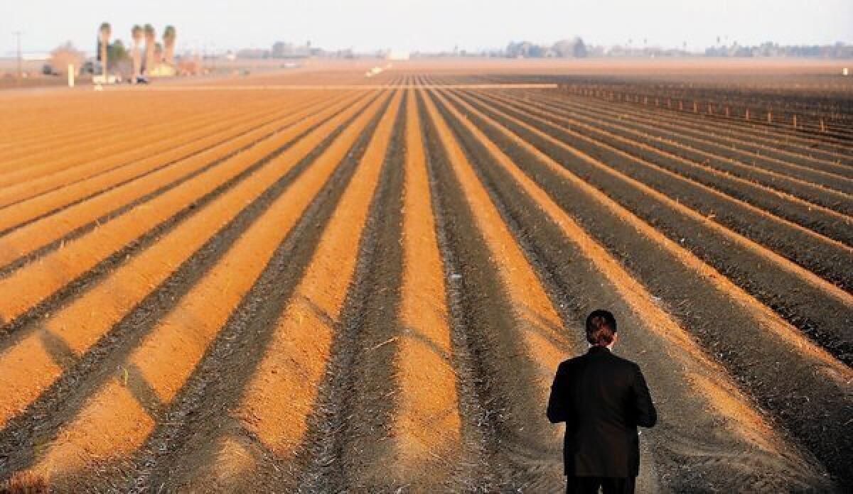A Secret Service agent looks over a parched field as President Obama visited the region to discuss California's drought.