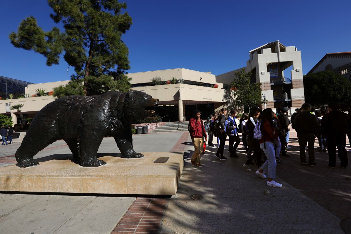 "The Bruin Bear" on the campus of UCLA in Westwood.