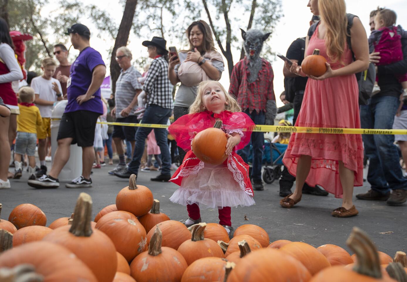 Photo gallery: Torelli Realty pumpkin patch