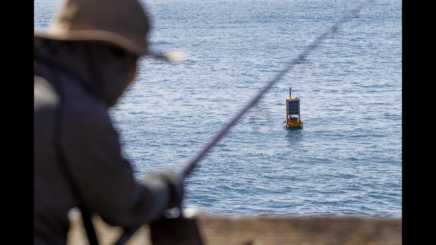 A Clever Buoy is anchored just south of the Balboa Pier in Newport Beach on Wednesday.