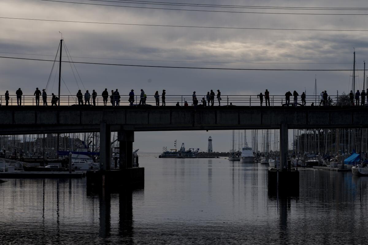 People watch the water rise in Santa Cruz Harbor