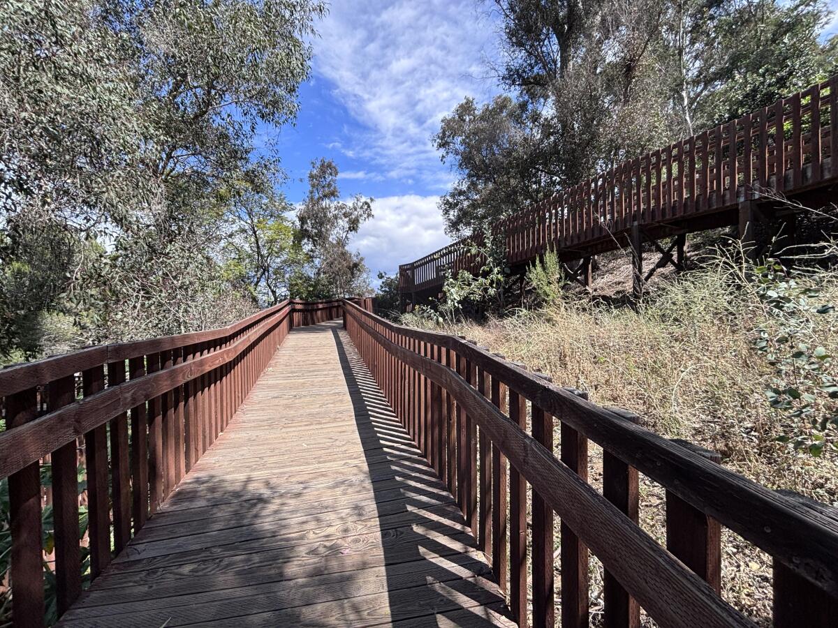 A multi-layered wood span trail.