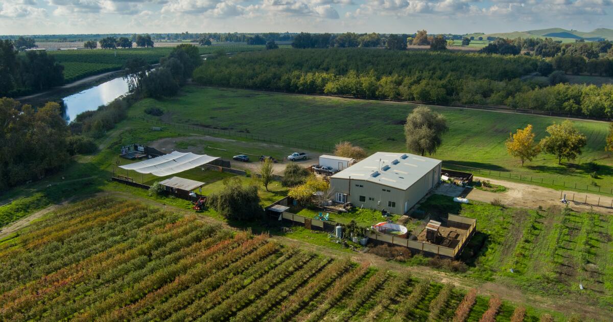 Visalia, « la porte d’entrée de la Californie vers les séquoias », offre des plaisirs inattendus