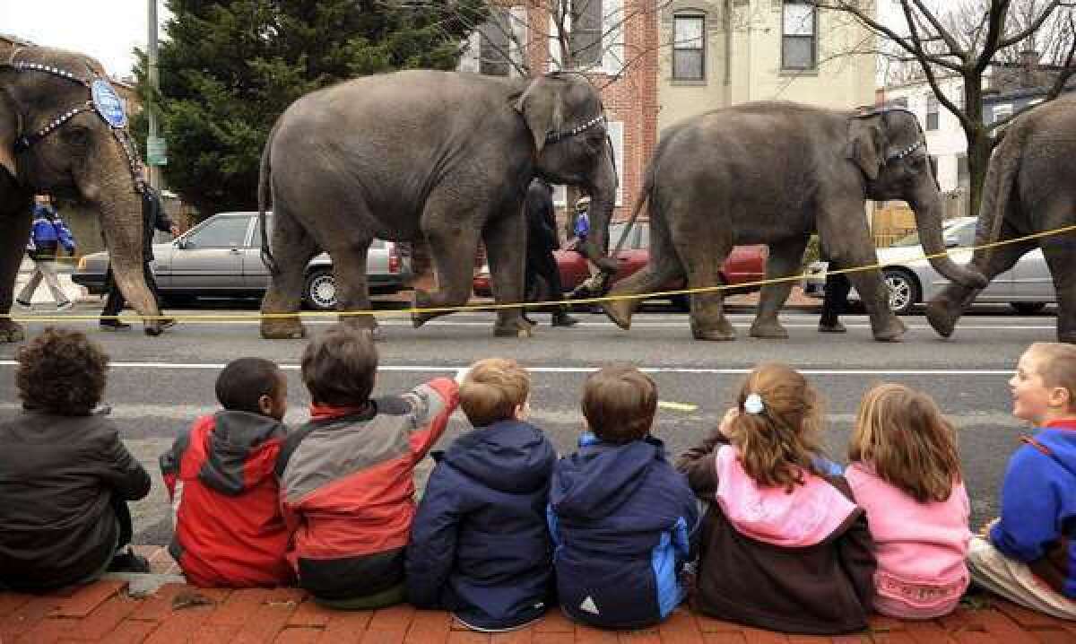 Children watch as elephants from the Ringling Bros. and Barnum & Bailey Circus parade in Washington.