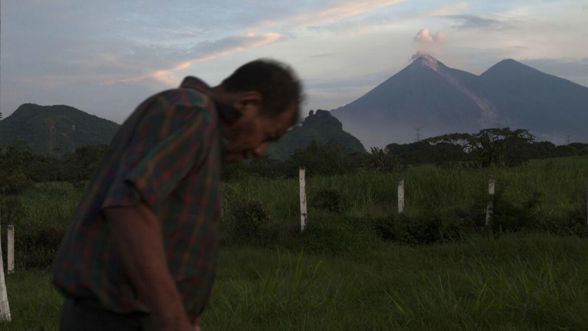 A man pulls a cart as the Volcano of Fire blows out a cloud of ash, as seen from Escuintla, Guatemala, on June 5, 2018.