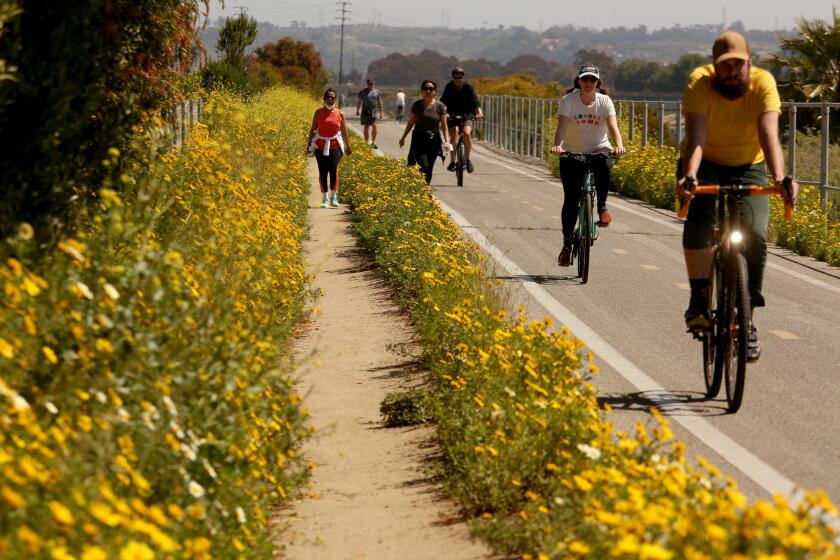 MARINA DEL REY, CA - APRIL 21, 2020 - - Bicyclists and walkers make their way on the Ballona Creek bike path in Marina Del Rey on Tuesday, April 21, 2020. (Genaro Molina / Los Angeles Times)