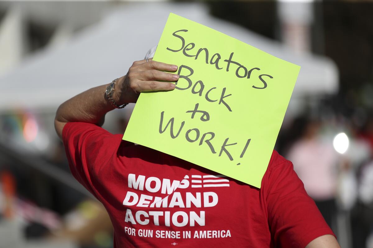 A person holds a sign saying 'Senators back to work' behind their head during a rally.