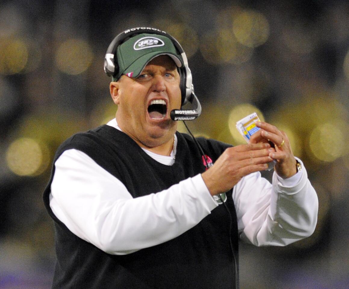 Rex is the Latin word for king. It's also the first name of many a dog, and of New York Jets head coach Rex Ryan.